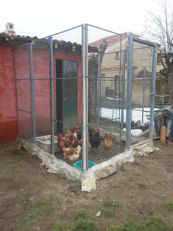 El Refugio del Dragón Albergue Arcones Exterior foto